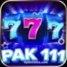 Pak111 Game