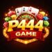 P444 Game